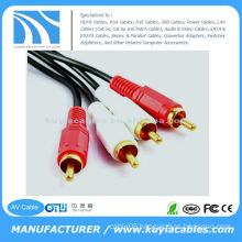 10FT(3M) 2 RCA to2 RCA AV Cable